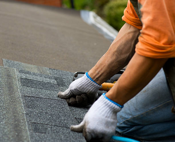Best Roof Maintenance Services  in Fairplains, NC