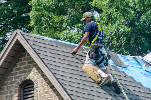 Best Gutter Installation and Roofing  in Fairplains, NC